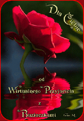 Róża dla Ciebie od wirtualnego przyjaciela